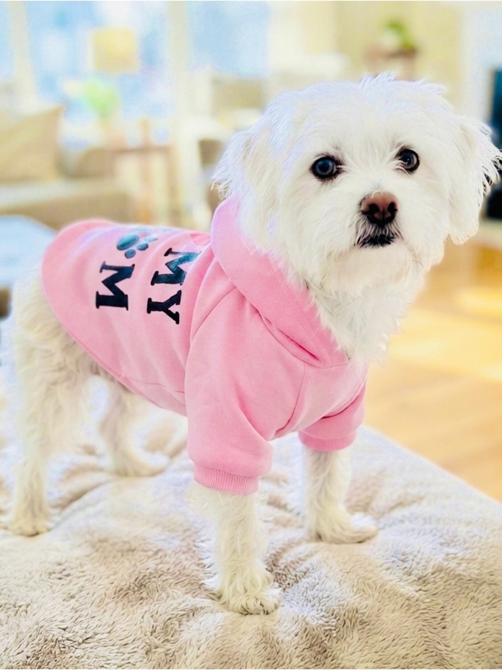 I 🩷 MOM - sweatshirt for that special dog